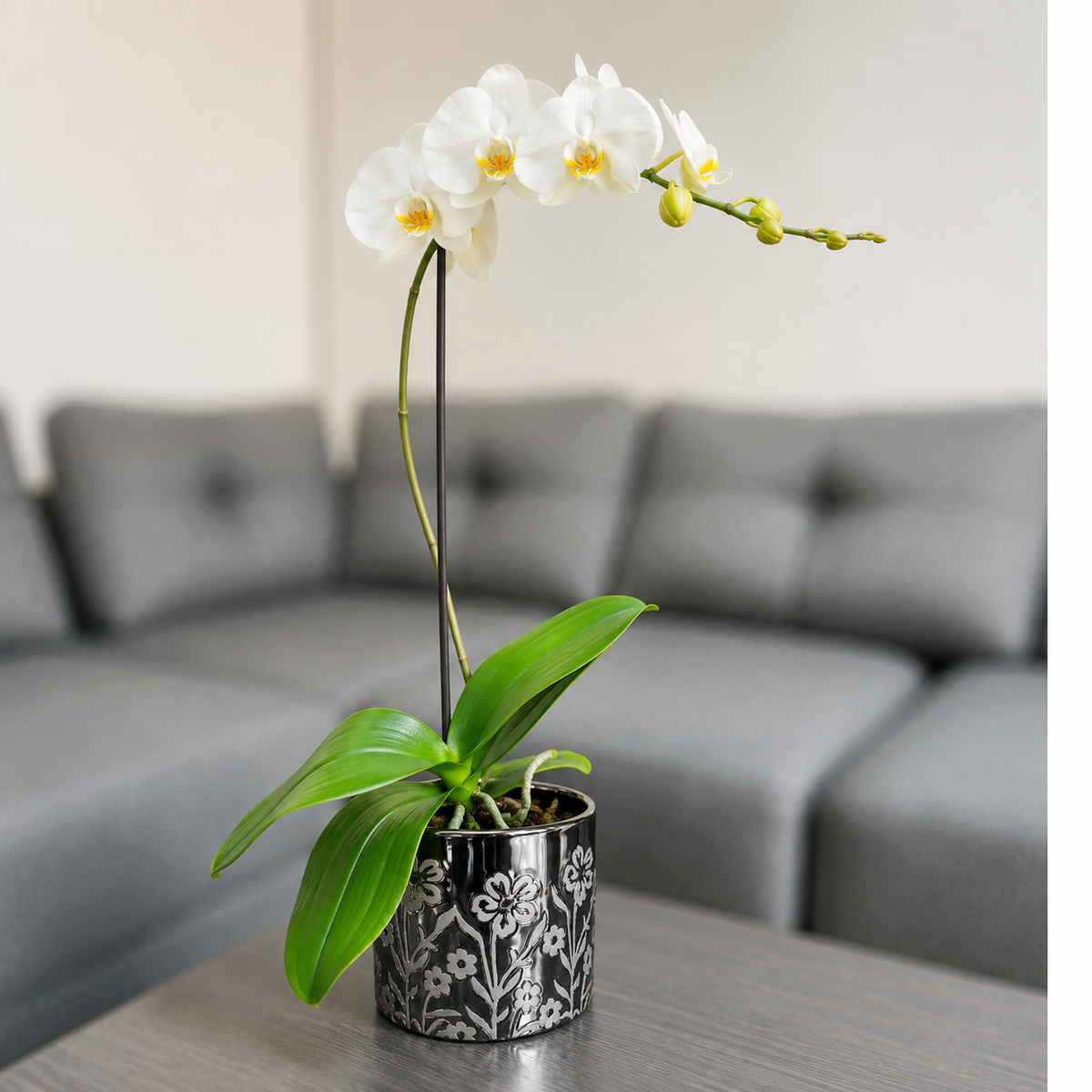 Orquídea grande de 1 vara con flores blancas con cerámica floral metalizada