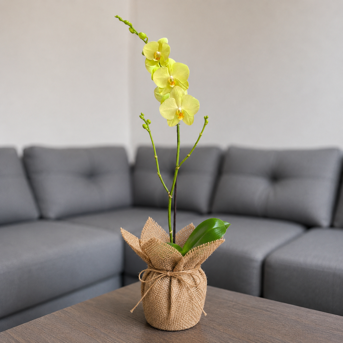 Orquídea grande de 1 vara con flores amarillas en yute decorativo