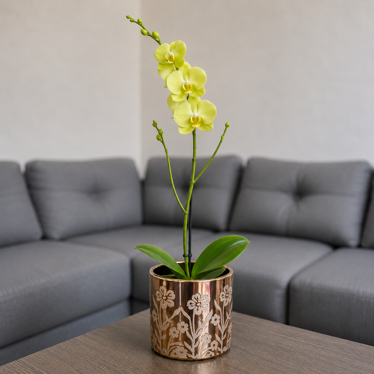 Orquídea grande de 1 vara con flores amarillas con cerámica floral dorada