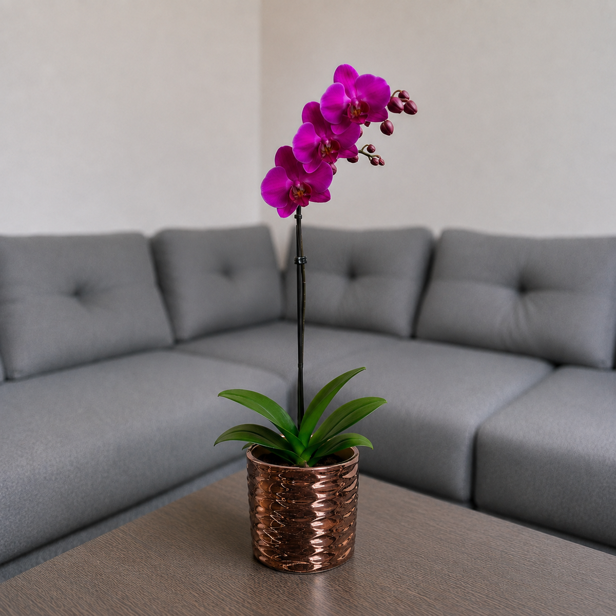 Orquídea resiliencia grande de 1 vara en cerámica panal oro rosa