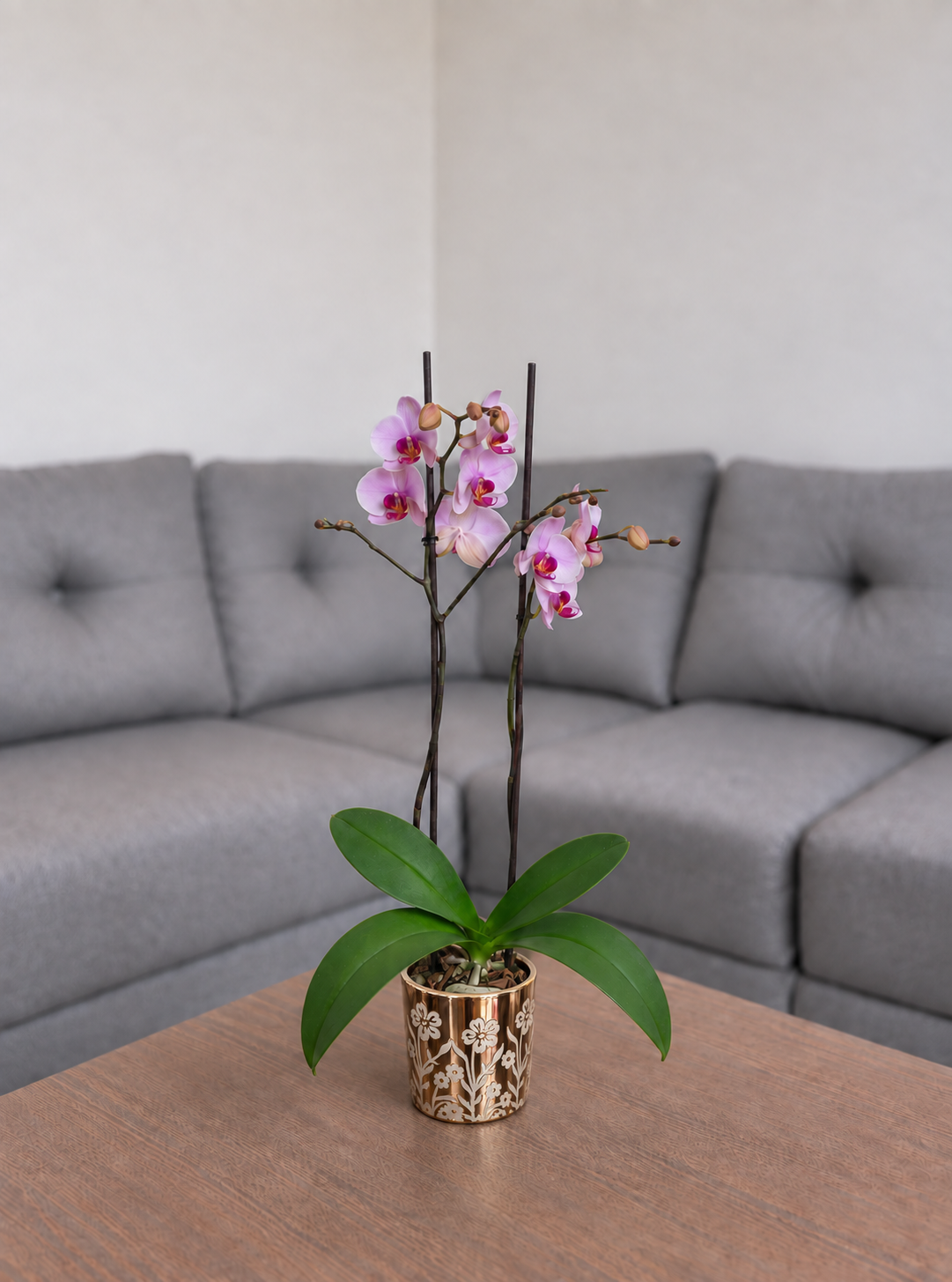 Orquídea primavera grande de 2 espigas en matera de cerámica floral dorada