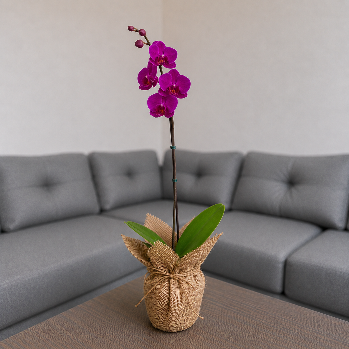 Orquídea grande de 1 vara con flores moradas en yute decorativo
