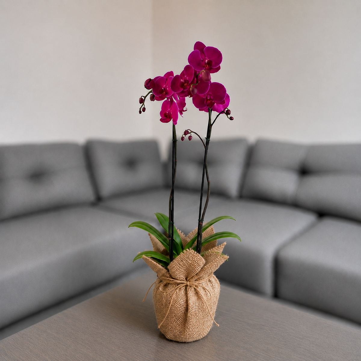Orquídea grande de 2 espigas morada en Yute decorativo