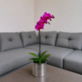 Orquídea resiliencia grande de 1 vara en cerámica plata acanalada