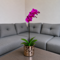 Orquídea resiliencia grande de 1 vara en cerámica floral dorada