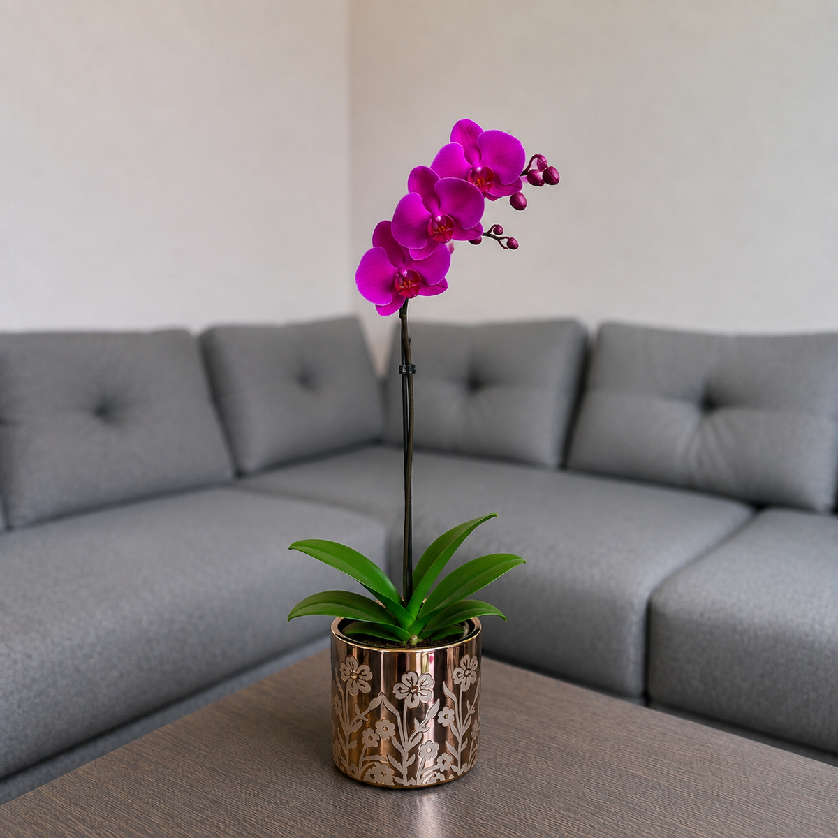 Orquídea grande de 1 vara con flores moradas con cerámica floral dorada