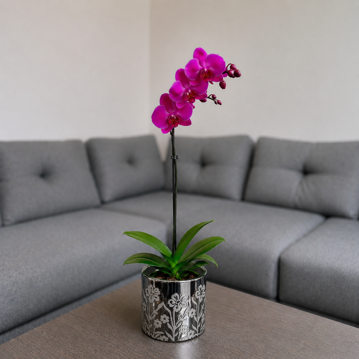 Orquídea grande de 1 vara con flores moradas con cerámica floral metalizada