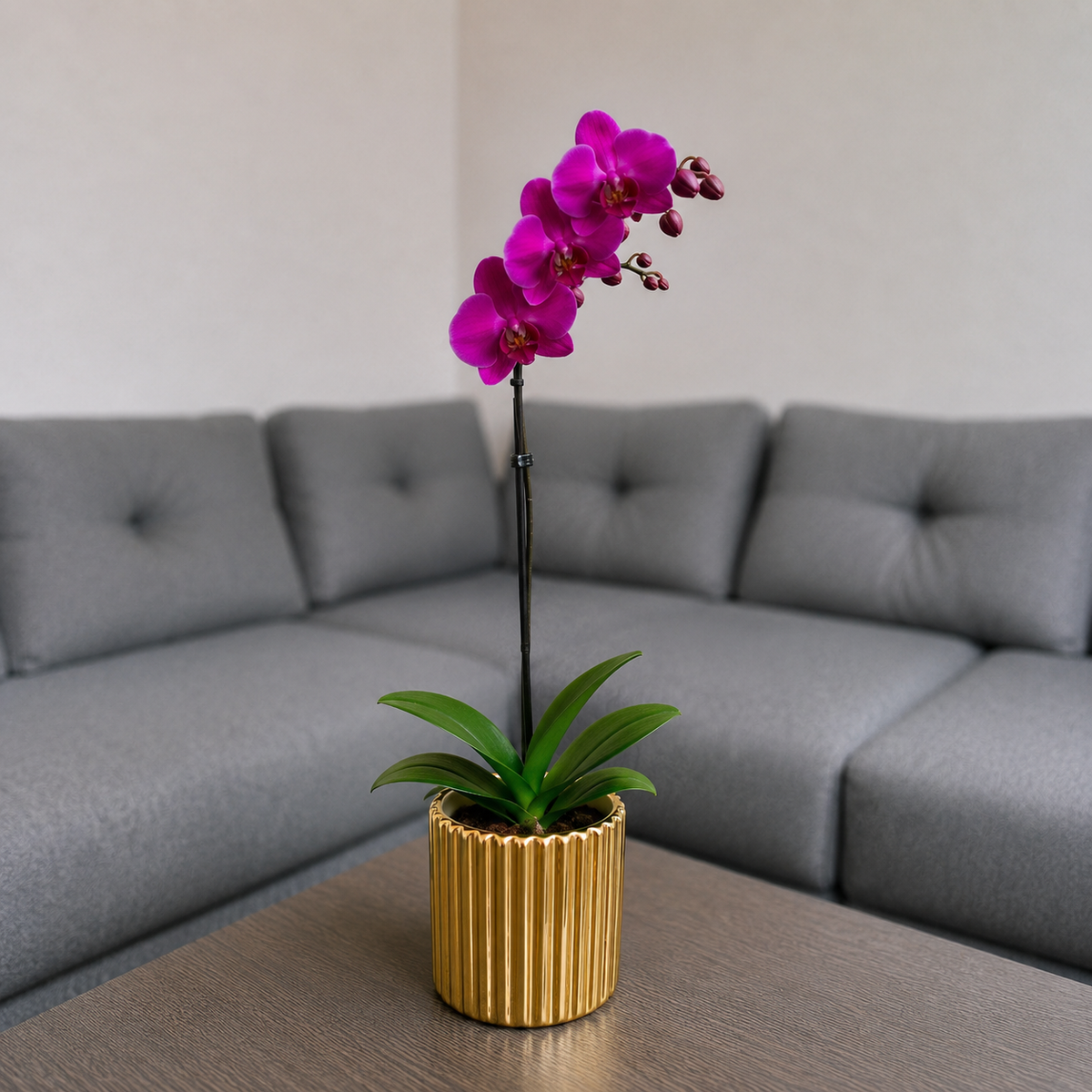 Orquídea grande de 1 vara con flores moradas con cerámica dorada panal