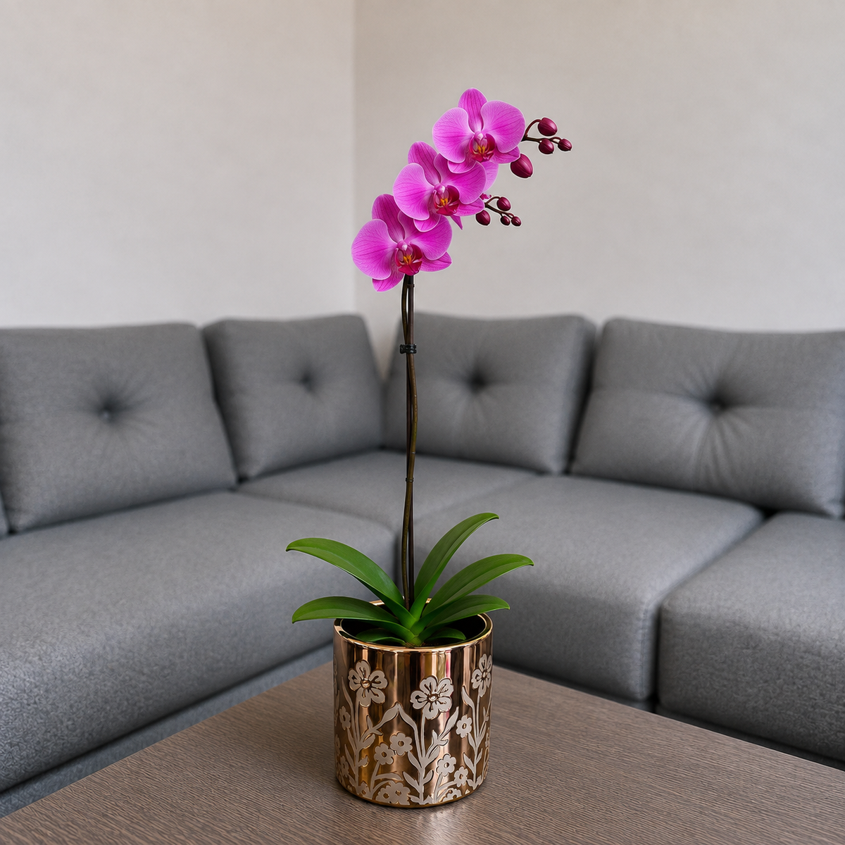 Orquídea grande de 1 vara con flores rosadas con cerámica floral dorada