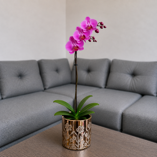 Orquídea renovación grande de 1 vara en cerámica floral dorada