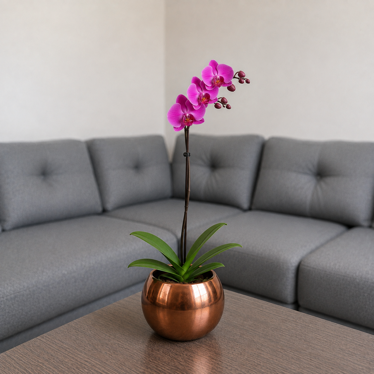 Orquídea grande de 1 vara con flores rosadas con cerámica ovalada cobre