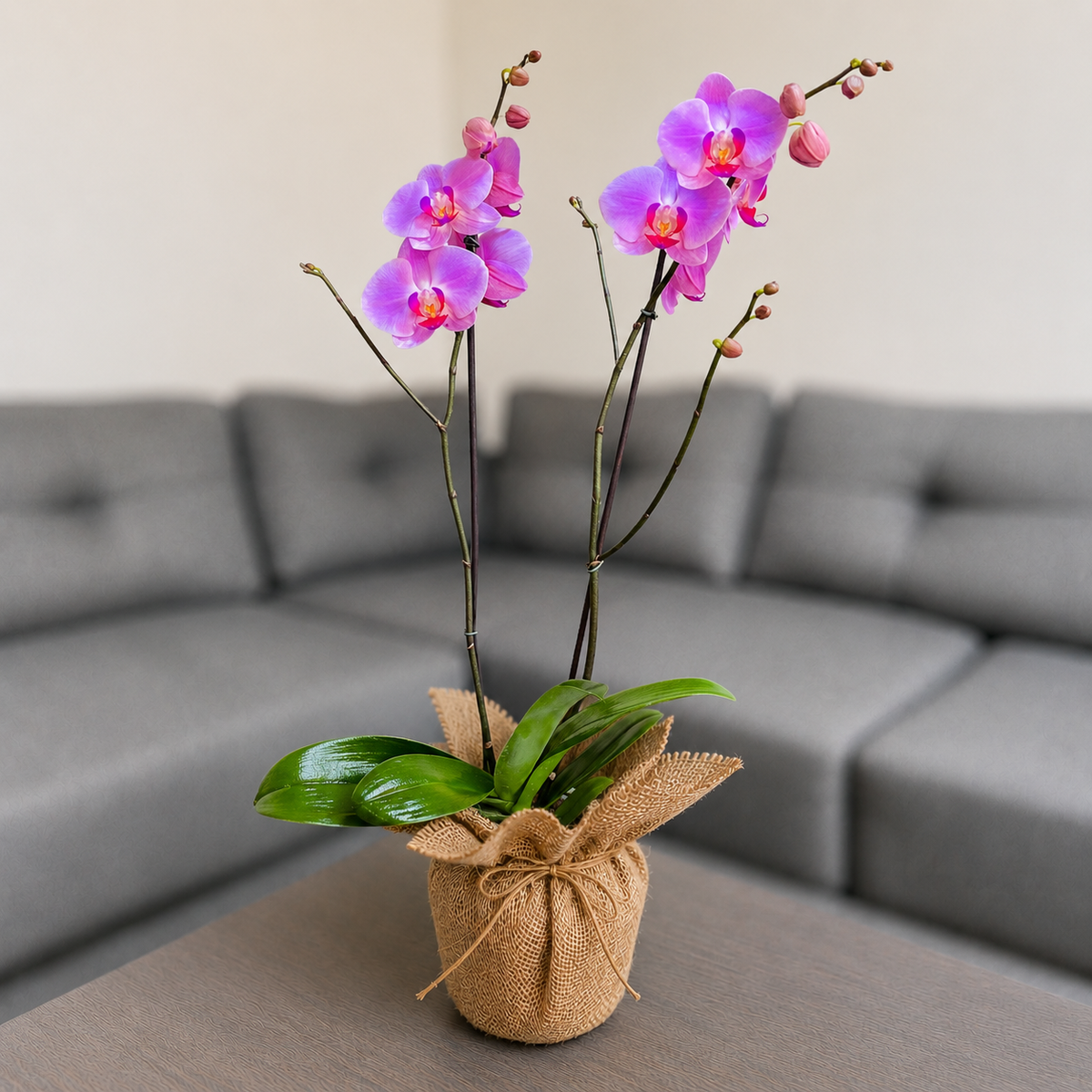 Orquídea grande de 2 espigas rosada en Yute decorativo