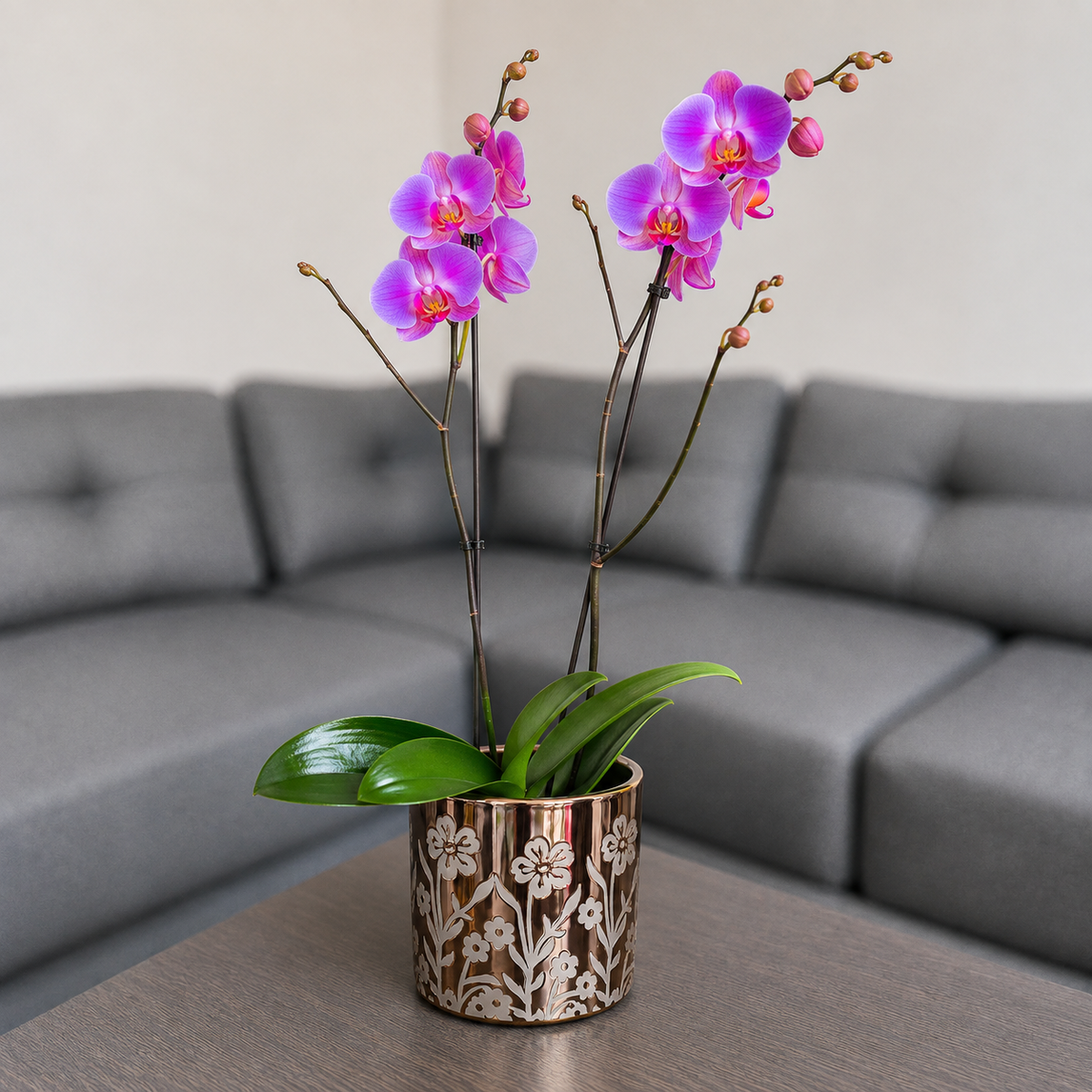 Orquídea grande de 2 espigas rosada en matera de cerámica floral dorada