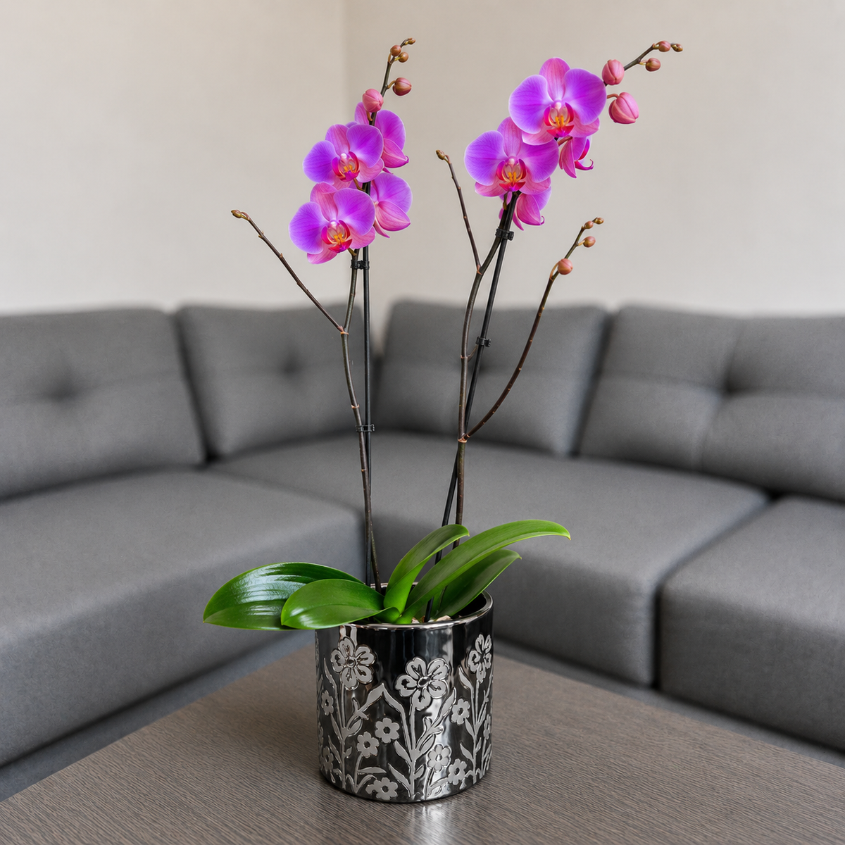 Orquídea grande de 2 espigas rosada en matera de cerámica floral metalizada