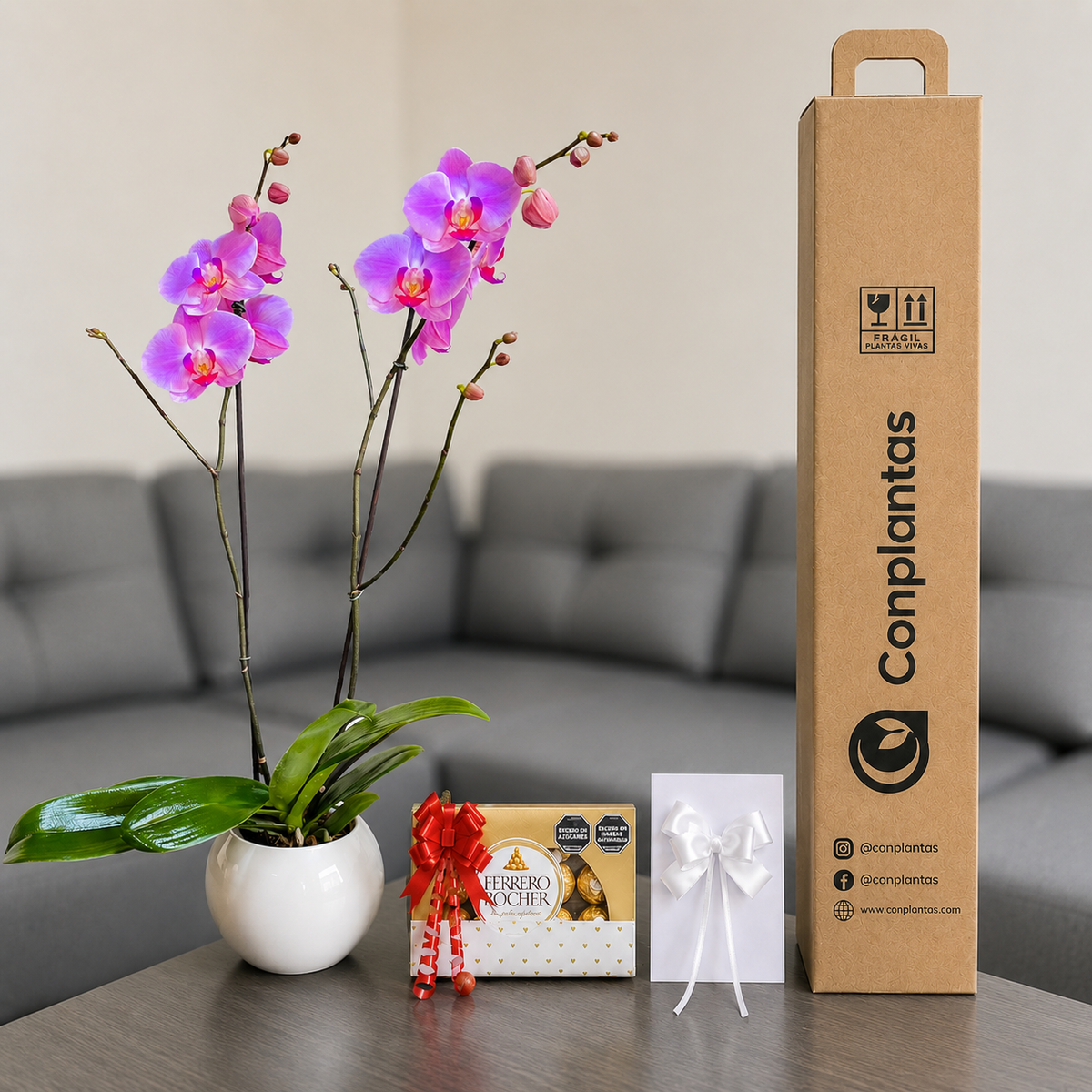 Combo renovación que Inspira