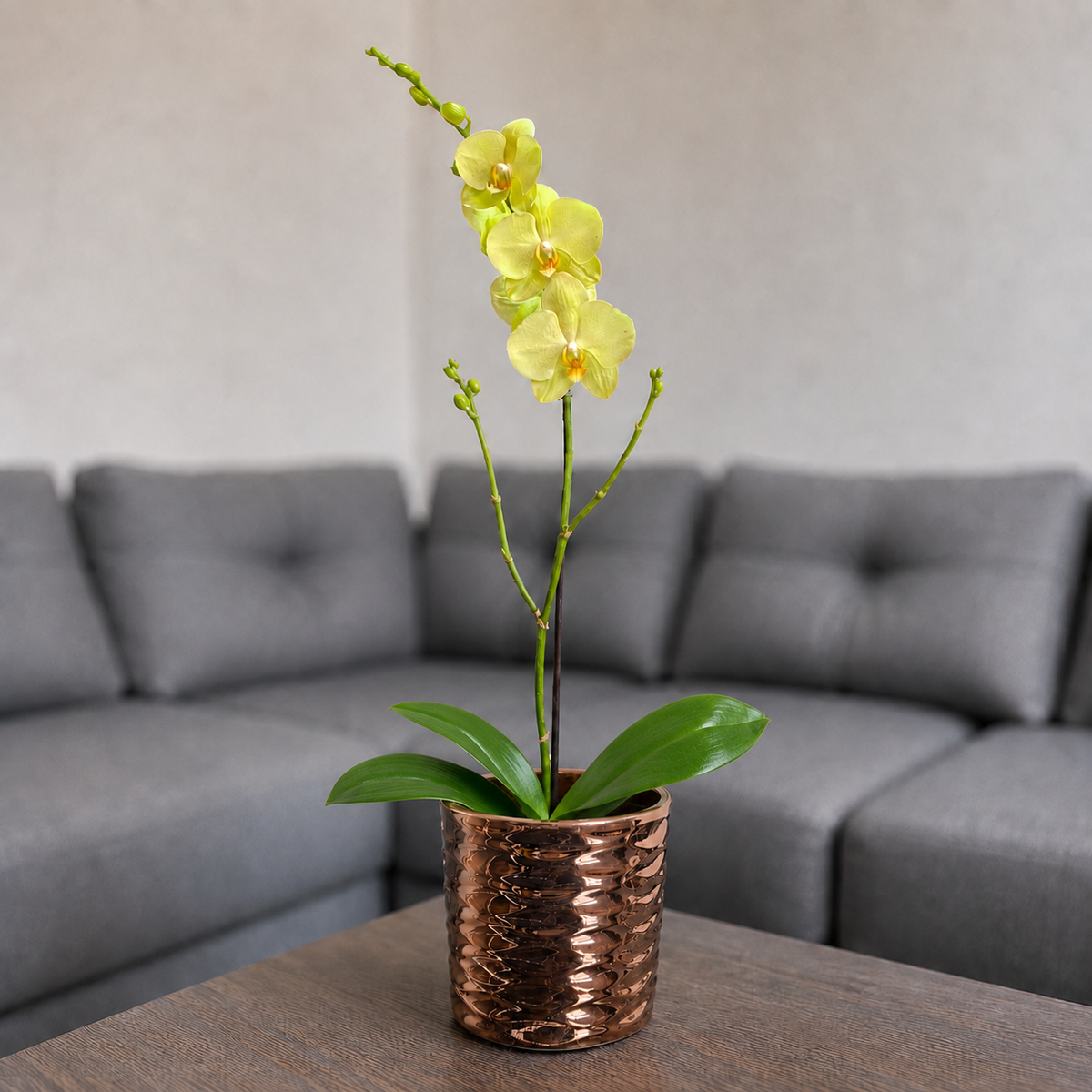 Orquídea despertar grande de 1 vara en cerámica panal oro rosa