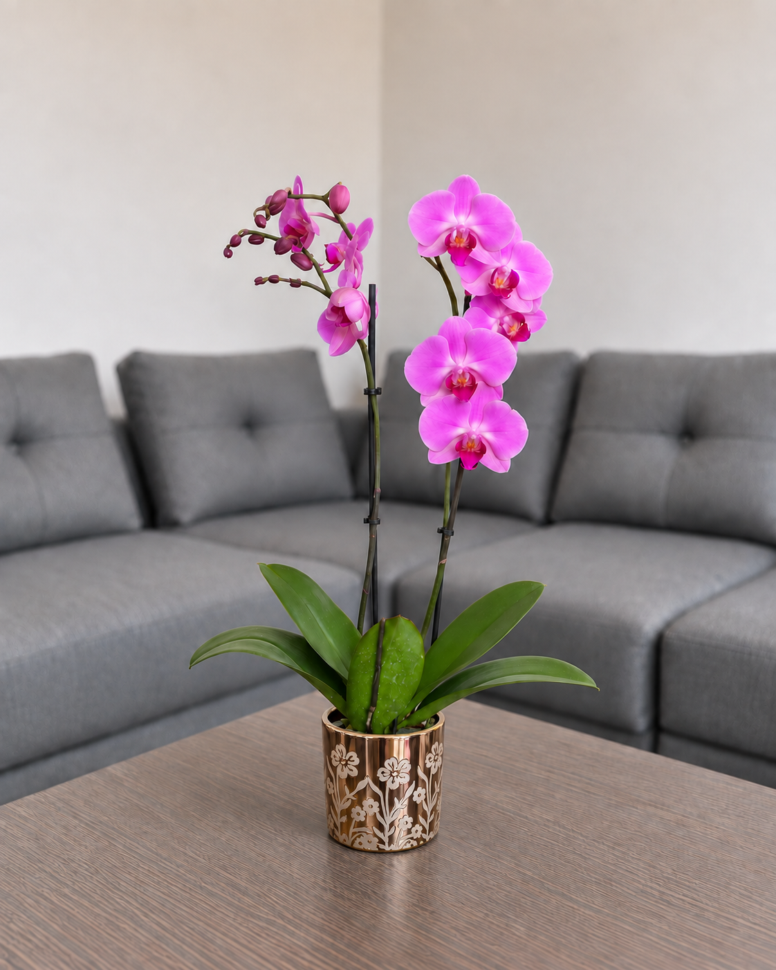 Orquídea renovación grande de 2 espigas en matera de cerámica floral dorada